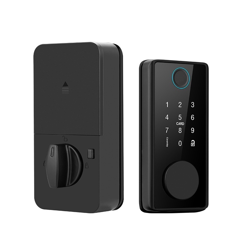 Graffiti Smart Door Lock Wooden Door Fingerprint Lock Auxiliary Closing - 图片 6