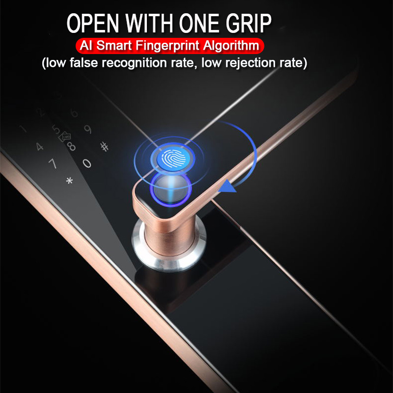 Apartment Office Wooden Door Fingerprint WiFi TTLOCKAPP Electronic Combination Lock - 图片 2