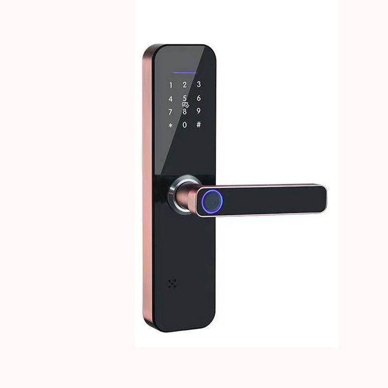 Apartment Office Wooden Door Fingerprint WiFi TTLOCKAPP Electronic Combination Lock - 图片 4