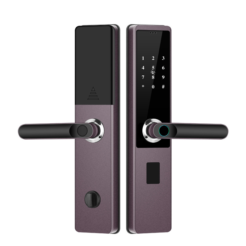 One Grip Fingerprint Lock Household Anti-theft Door Wooden Door Password Lock - 图片 4