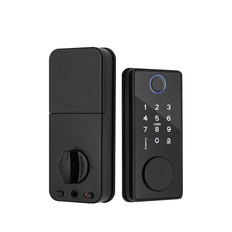 Graffiti Smart Door Lock Wooden Door Fingerprint Lock Auxiliary Closing - 图片 5
