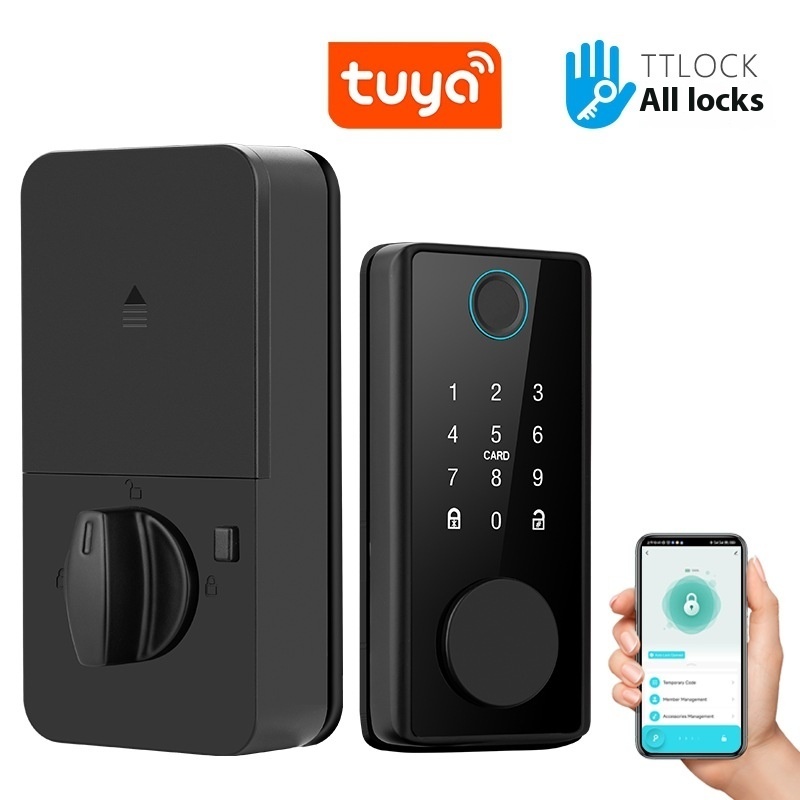 Graffiti Smart Door Lock Wooden Door Fingerprint Lock Auxiliary Closing - 图片 2