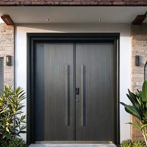 Steel Entry Security Door with Multi-Point Locking - for