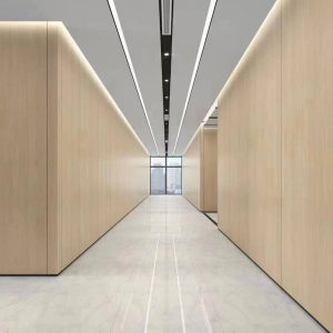 Steel Solid Partition Wall Demountable Soundproof Panel -