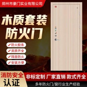 Premium Steel Pivot Door 4 | Steel Door | JuSen