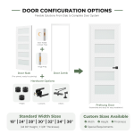 Modern 5-Panel Glass Sliding Barn Door
